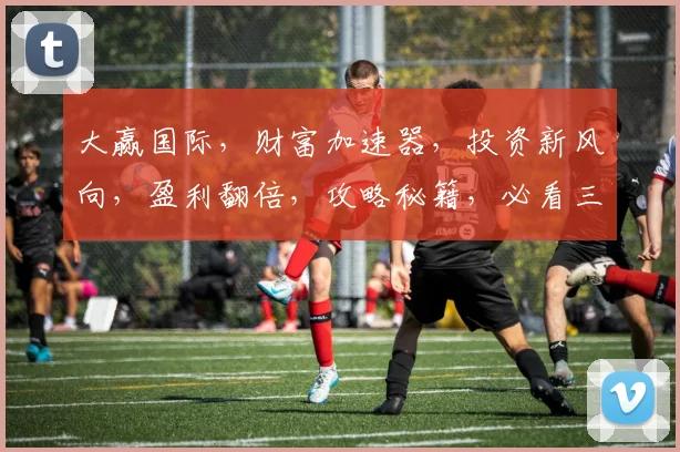 大赢国际，财富加速器，投资新风向，盈利翻倍，攻略秘籍，必看三步