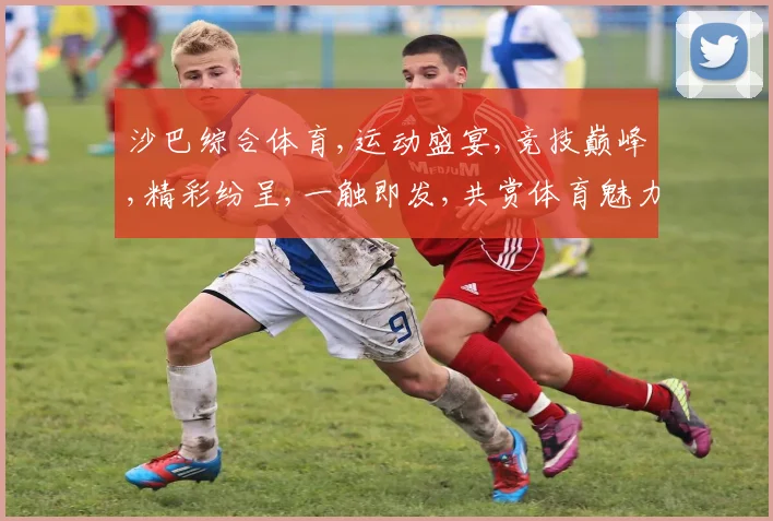 沙巴综合体育,运动盛宴,竞技巅峰,精彩纷呈,一触即发,共赏体育魅力